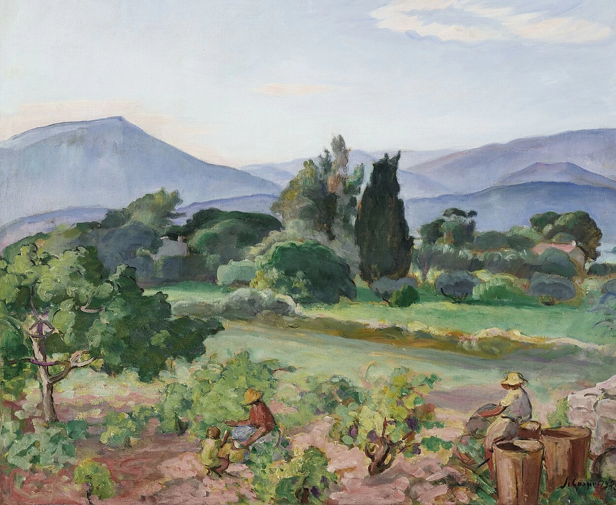 Vendemmia nella valle del Faron